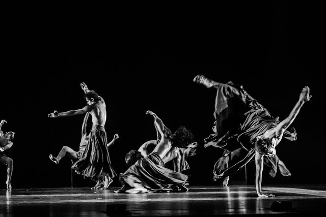  © Eyal Hirsch