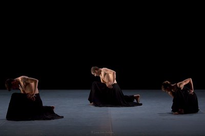  © Luis San Andrés