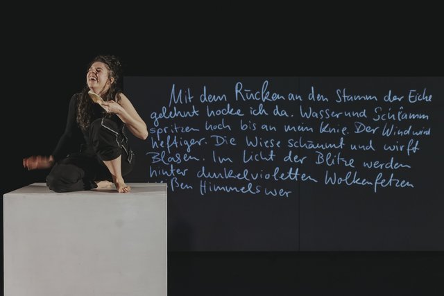  © Markus J. Bachmann