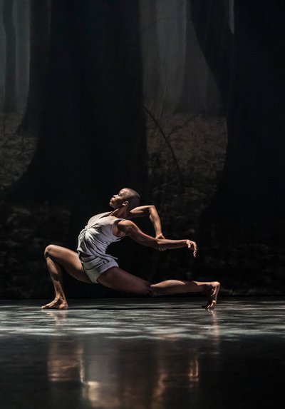  © Acosta Danza