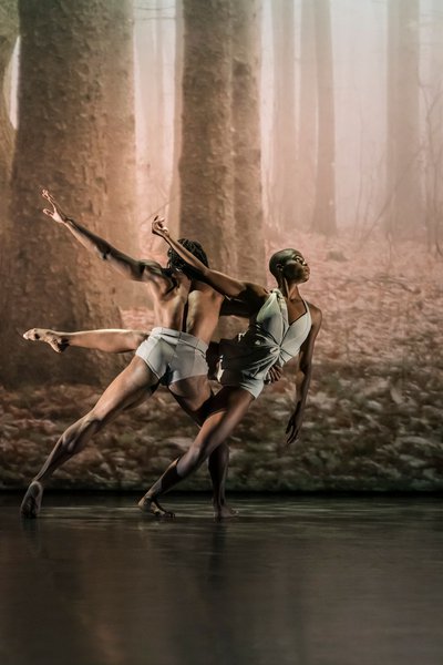  © Acosta Danza