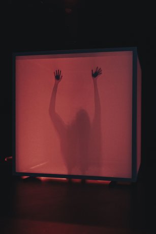  © Markus J. Bachmann