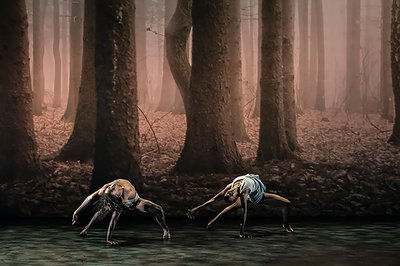  © Acosta Danza